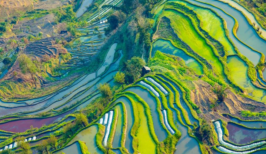 走进湖州TVC拍摄：解锁本地化场景与创意镜头的完美融合